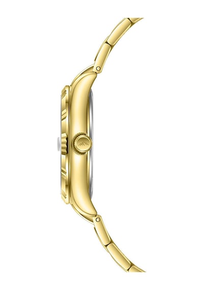 Roche Montre Rml7003-01 Kadın Kol Saati Altın