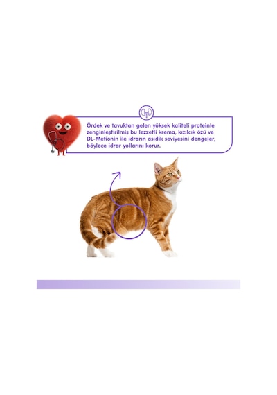 Üriner Sistem  Kedi Ödül Maması Ördek & Tavuk Kedi Ödül Kreması 5x14gr