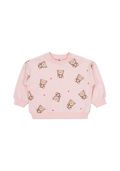 Civil Baby Ayıcık Baskılı 3'lü Set 6-18 Ay Sweatshirt - Standart