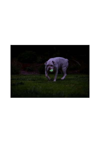 Max Glow Air Fetch Gece Parlayan Köpek Oyun Topu Orta Boy 6.5 Cm