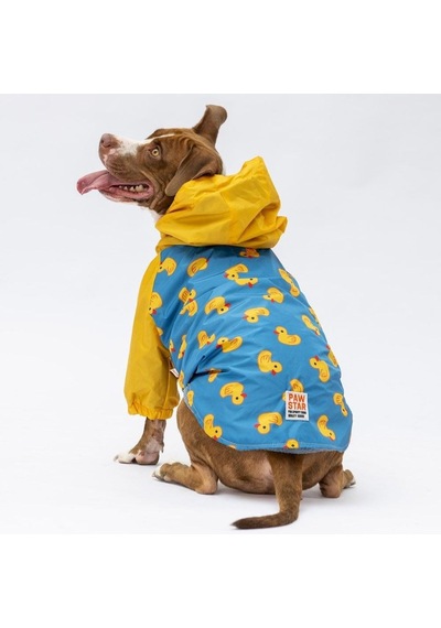 Pawstar Pekin Büyük Irk Yağmurluk