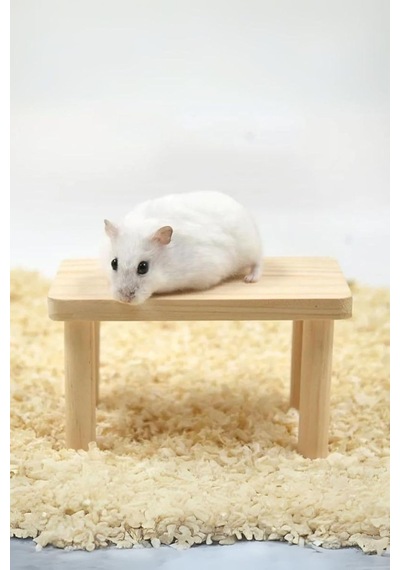 Ayrex Hamster Ahşap Oyun Platformu - Kafes Aksesuarı Ve Yem Standı
