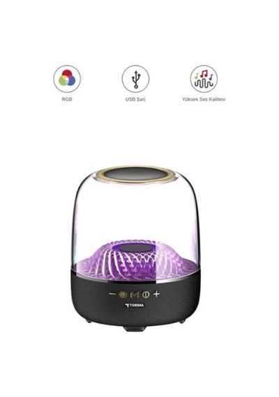 D33 Siyah Taşınabilir Kablosuzz Bluetoooth Hoparlör Bb