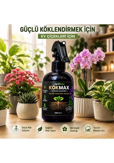 Kökmax Ev Bitkileri İçin Kök Güçlendirici Ve Çiçek Coşturucu Sprey 500 ML