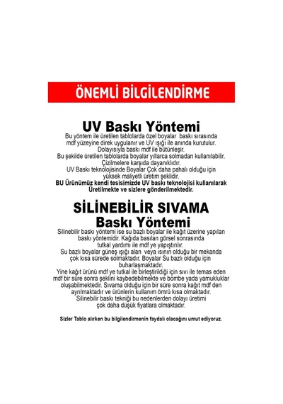 Çocuk Odası Winie Poohh Temalı Ahşap Tablo Seti Renkli - 584981642 Renkli