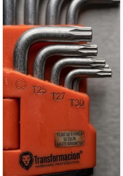 Profesyonel 9 Parça Yıldız Torx Alyan Seti T10-t50 S2 Çelik Uzun Kol 715903