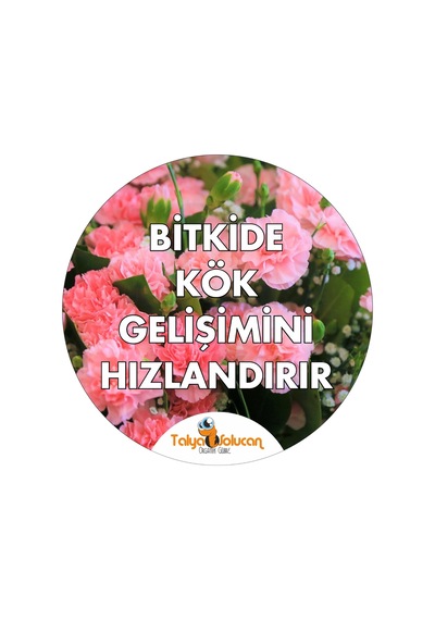 Çiçek Coşturan Kullanıma Hazır Yaprak Gübre 750 ML