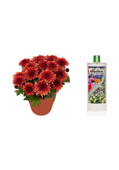 Tropikal Bitki Besini 3 Adet - Genel Kullanım 1000 Ml