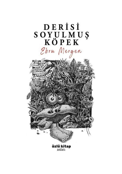 Derisi Soyulmuş Köpek / Ebru Mergen