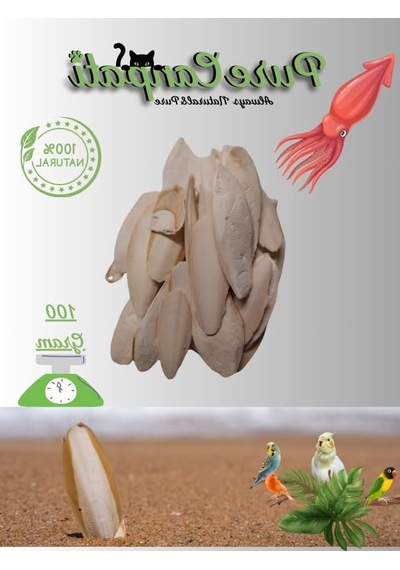 Kalamar Kemiği 100 Gram, Kırıklı Ve Ufak Boy