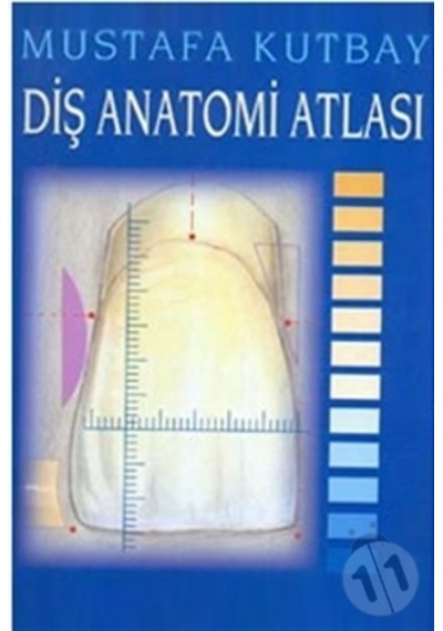 Diş Anatomisi Atlası Palme Yayınevi