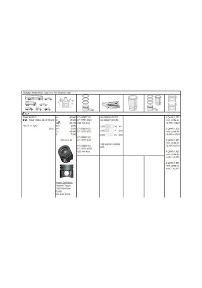 GOETZE ISS 8772771050000G Piston - Gömlek 73.7Mm 0.50 Fiesta 1.4 TDCI Dv4C Euro5