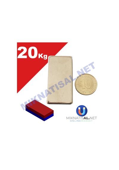 40X20X10Mm Neodyum Mıknatıs 2 Adet