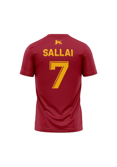 Gsstore Galatasaray Çocuk R. Sallai Welcome Tee C241994 Sarı - Kırmızı