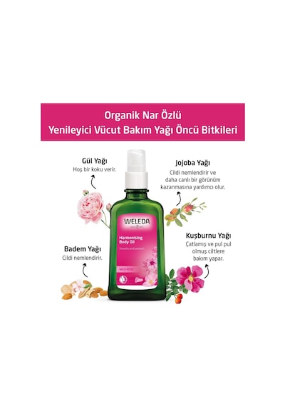 Weleda Organik Yabani Gül Özlü Yenileyici Vücut Bakım Yağı 100 ML
