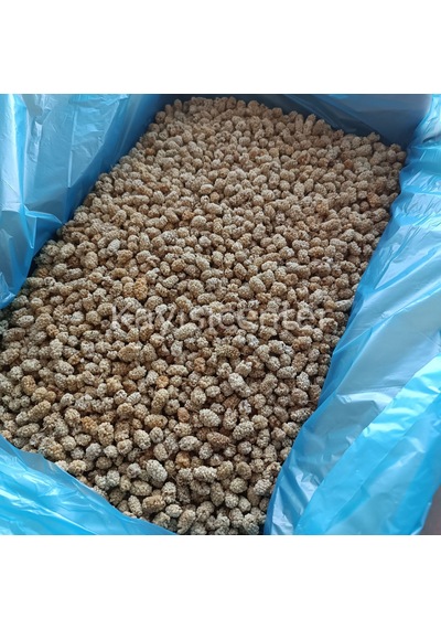 Toptan Pütürge Lüks Dut Kurusu 10 Kg 10 KG