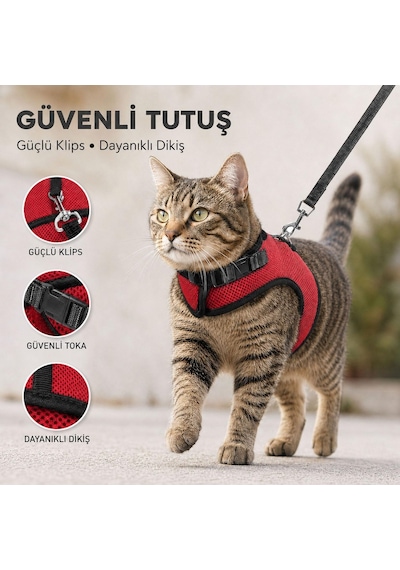 Kaçış Önleyici Kedi Gezdirme Tasması Ve Küçük Irk Köpek Gezdirme Tasması Kedi Göğüs Tasması Seti Small