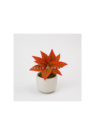 Yapay Kırmızı Croton Calathea 48 Cm - Dekoratif Vazo İçi Islak Dokulu Yaprak Dalı Saksısız