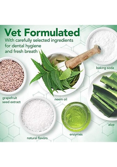 Best Aloe Vera Ve Nane Özlü Köpek Diş Macunu 100 Gr Ve Parmak Fırça