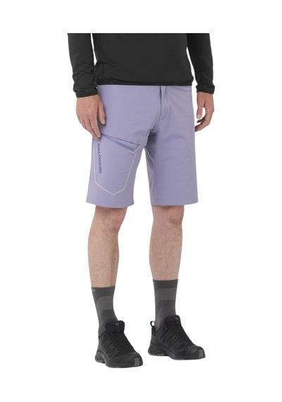 Salomon Wayfarer Shorts M 55113 Çok Renkli