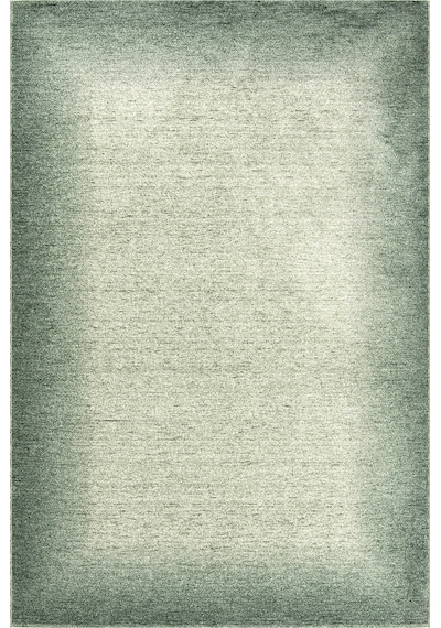 Romans Etro 2707 Yeşil - Spor Saçaklı Polyester Çerçeveli Vintage Halı