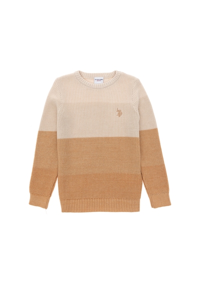 U.S. Polo Assn. Erkek Çocuk Camel Bisiklet Yaka Kazak 50295576-VR015 U.S. Polo Assn. Erkek Çocuk Camel Bisiklet Yaka Kazak 50295576-VR015