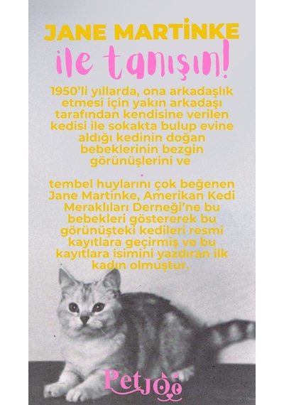 Petjoo 5.Jane Martinke Pembe-Sarı Qr'lı Kedi Künyesi
