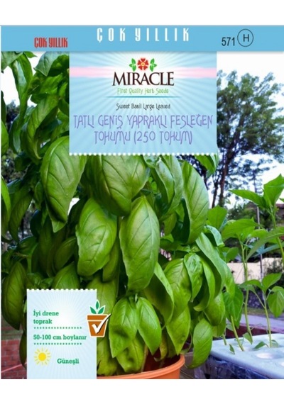 Miracle Tatlı Geniş Yapraklı Fesleğen Tohumu 250 Tohum