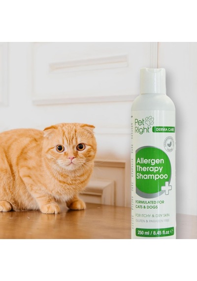 Pet Right Allergen Therapy Shampoo Kedi-köpek