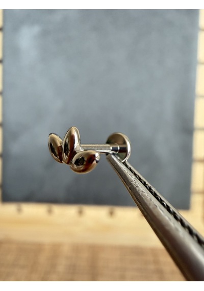 Yüksek Kalite G23 Titanyum Şans Buğdayı Labret Piercing Gümüş