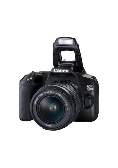 Canon EOS 250D 18-55 MM DC III DSLR Fotoğraf Makinesi (İthalatçı Garantili)