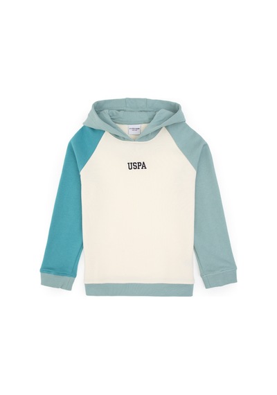 U.S. Polo Assn. Erkek Çocuk Mint Kapüşonlu Sweatshirt 50316606-VR090