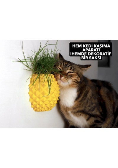 Ananas Şekilli Kedi Kaşıma Aparatı Kedi Çimi Eklenebilir Duvar
