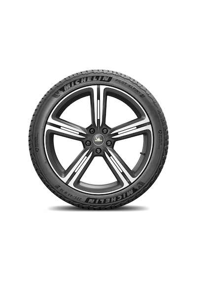 Michelin 275/50 R21 113V XL Pilot Alpin 5 Suv MI Kış Lastiği 2025