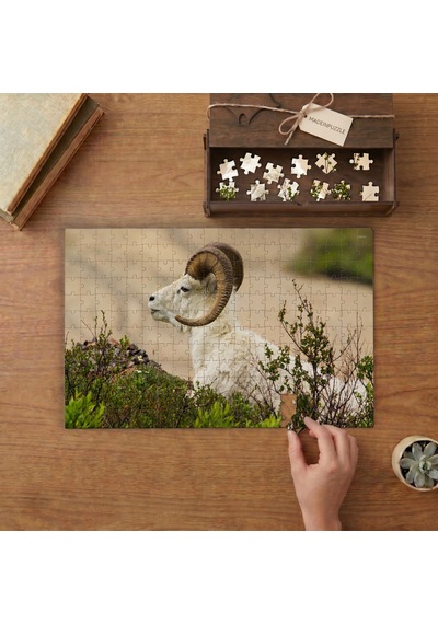 Dall Yaban Koyunu Tasarımı 240 Parça Ahşap Puzzle Ahşap Kutuda Mpy60024