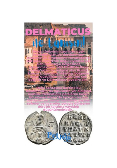 Petjoo 28.Delmaticus Mavi-Pembe Qr'lı Köpek Künyesi