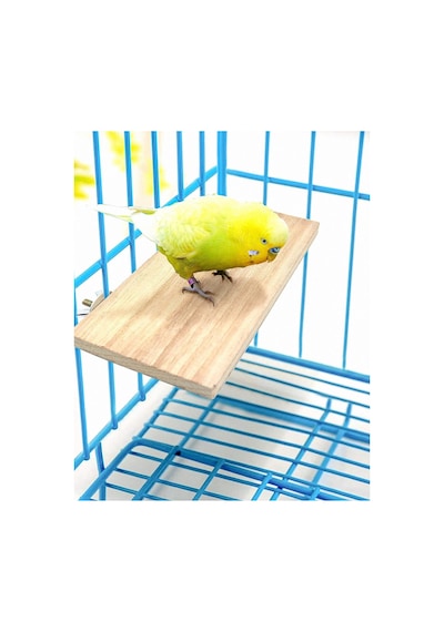 4 Pcs Kuş Levrek Standı Platform Oyuncak - Doğal Ahşap Kuş Kafesi Aksesuarları 2 Düz, 2 Digdörtgen