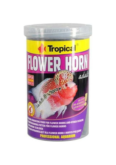 Tropical Flowerhorn Adult Kovadan Bölme 100 G