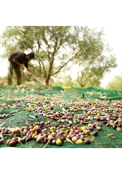 3x6 Metre Zeytin Sergisi Zeytin Toplama Filesi Fındık Fıstık Örtüsü Gölgelik Dut Meyve Sergisi Taban Örtüsü