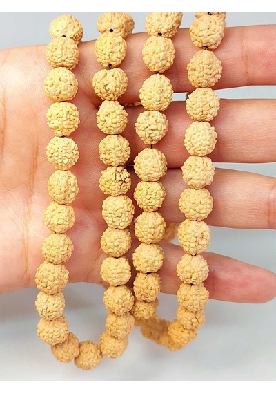 Açık Renk Süt Rudraksha Tohum Dizi 8-9mm Aralığı Mala Yapımı İçi Çok Renkli