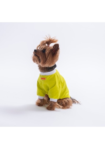 Yellow-sarı Yourself Love Sweat Kedi Köpek Sweati - Kedi Köpek Kıyafeti