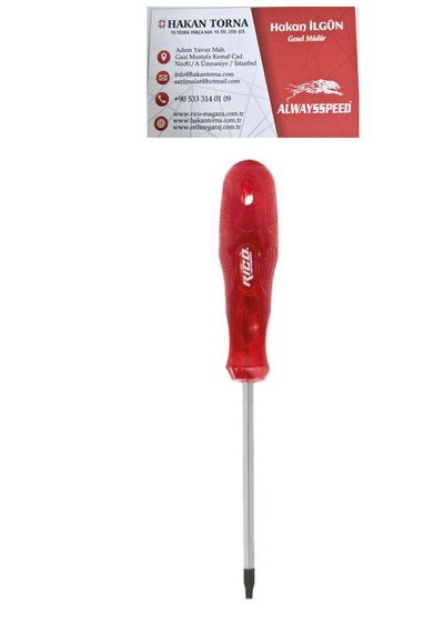 Rico T30 100mm Kraft Torx Tornavida
