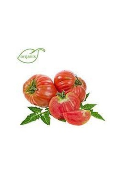150 Adet Tohum Organik Hobi Bahçe Saksılık Pembe Bulgar Domates T