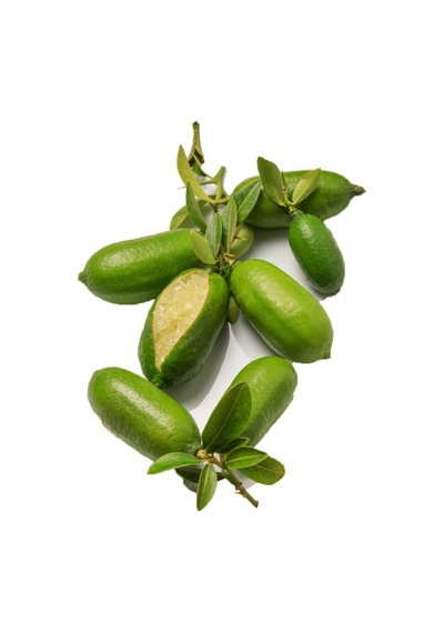 Nadir Ithal Parmak Limon Tohumu Ekim Seti 3 Tohum Saksı Toprak Kombin