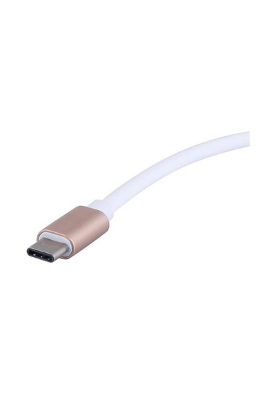 4448 Usb 3.1 Type C To Displayport Çevirici Dönüştürücü Adaptör