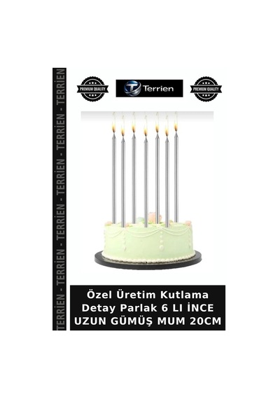 Özel Üretim Kutlama Detay Parlak 6 Lı İnce Uzun Gümüş Mum 20cm Çok Renkli