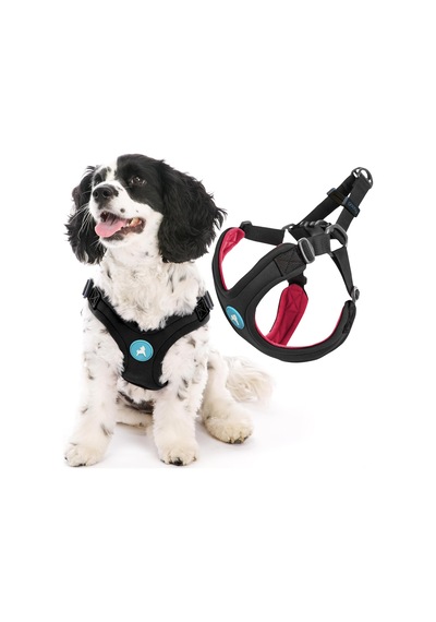 Escape Free Spor Yemek Takımı, Küçük Köpekler İçin, Neopren Yemek Takımlarından Kaçmayı Seven Köpekler İçin, Siyah, Beden L Çok Renkli