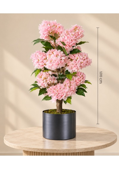 100 Cm Pembe Ortanca Ağacı