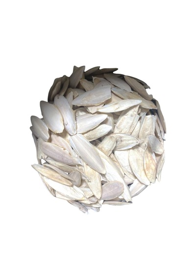 Kalamar Kemiği 500 Gr Kırık Irili Ufaklı