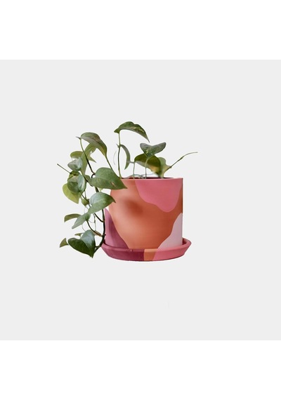 Terracotta Silindir Saksı+tabak Pembenin Tonları Küçük Diğer